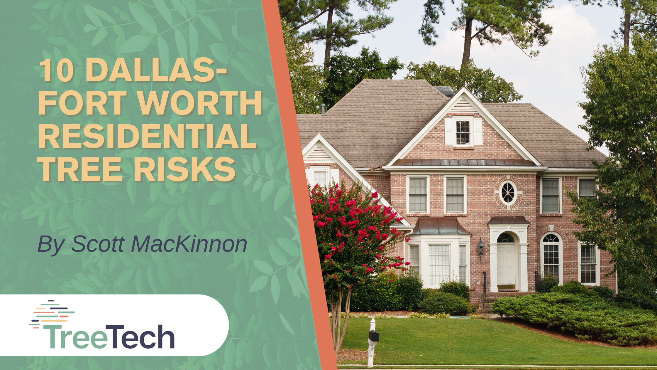 10 Dallas-Fort Worth's Residential Trees Risks Banner