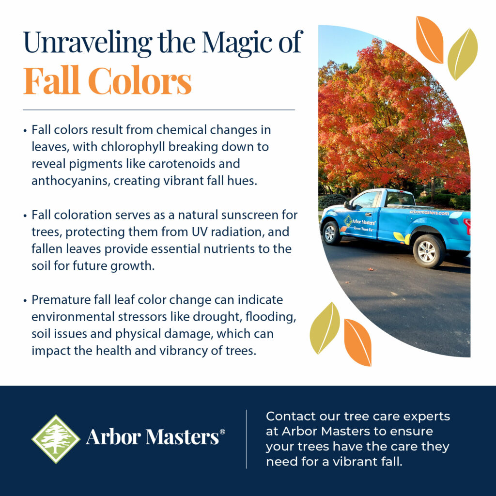 Explanation of fall colors 