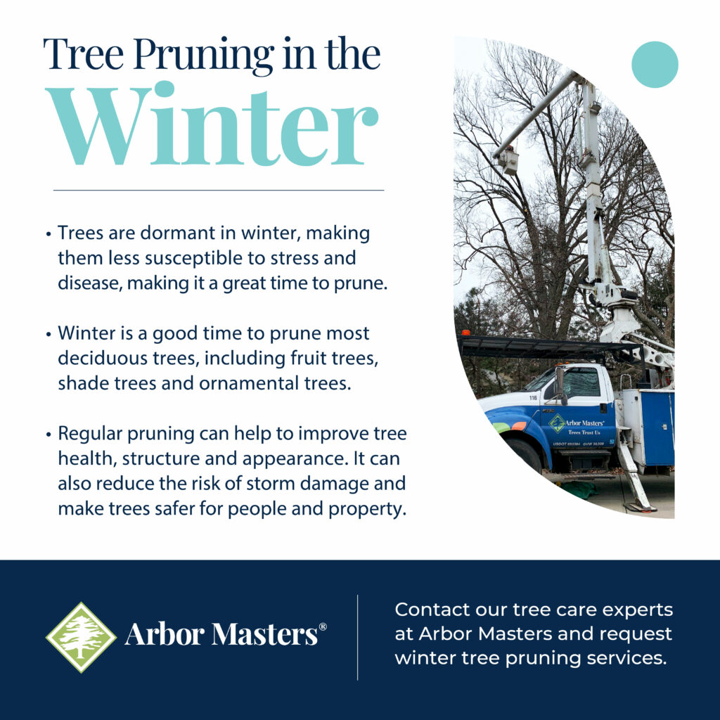 Tree Pruning in the Winter
