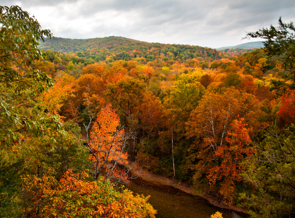 Ozark Mountains in the Fall
