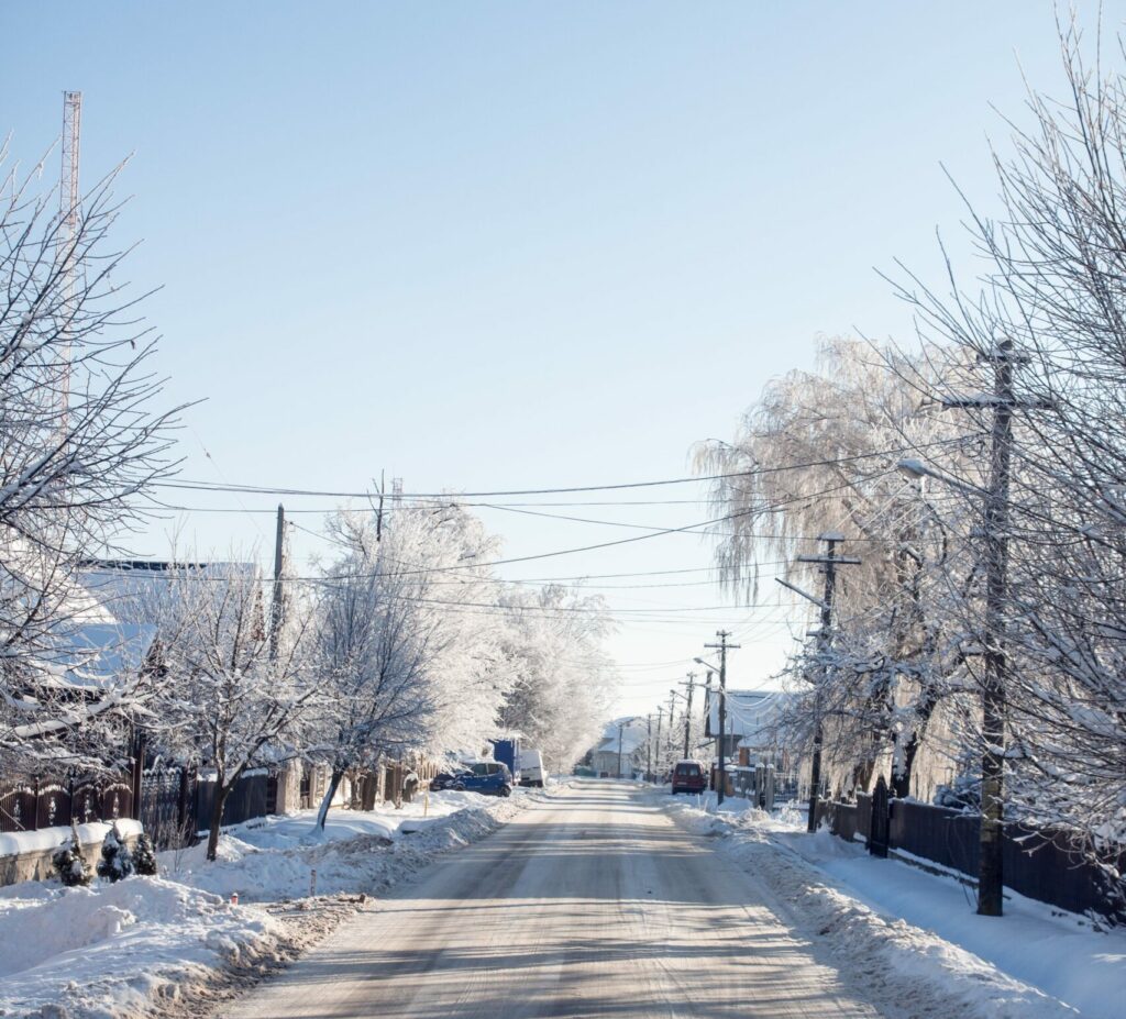 Winter Street with Trees