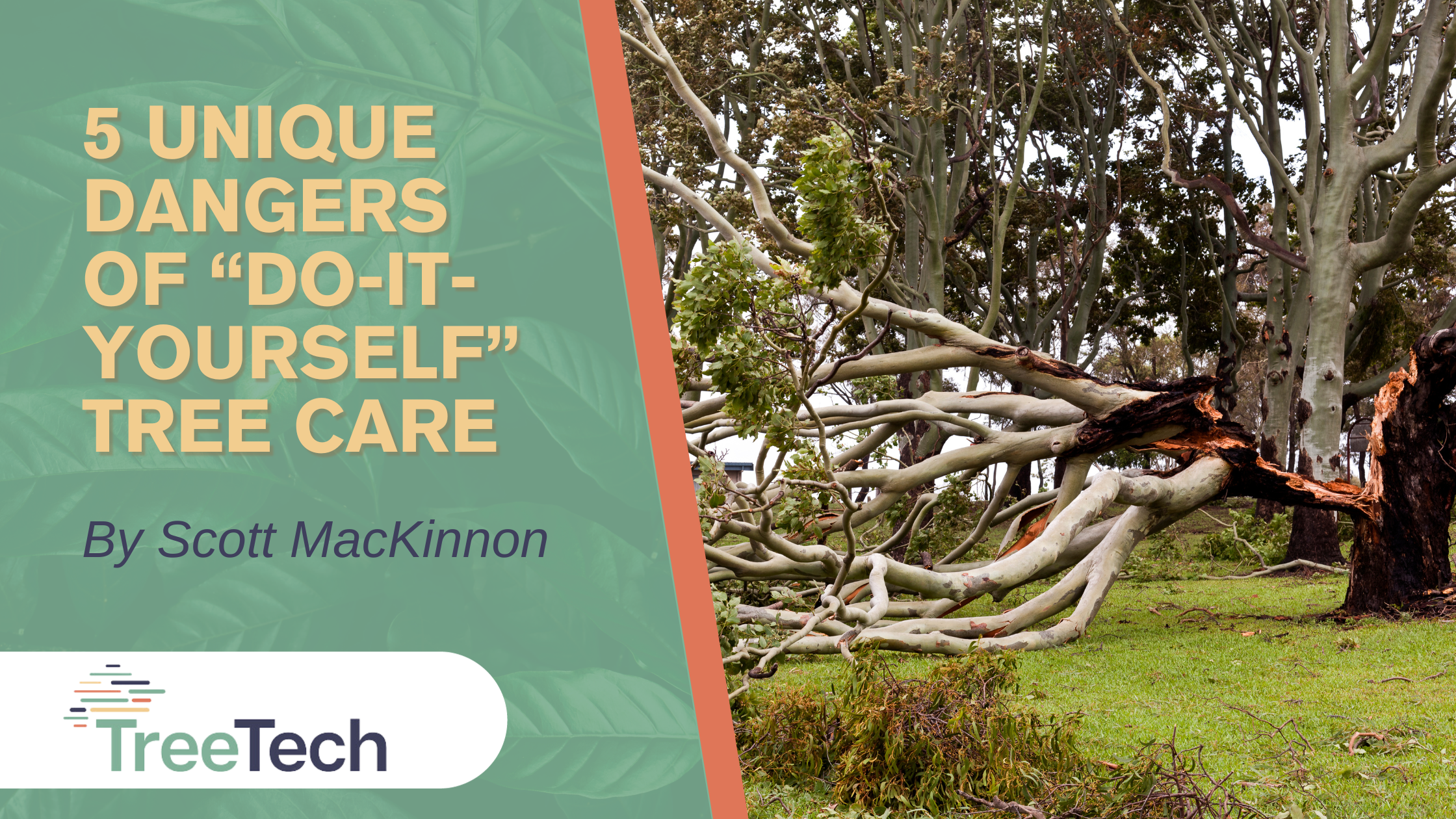 5 unique dangers of "Do It Yourself" tree care