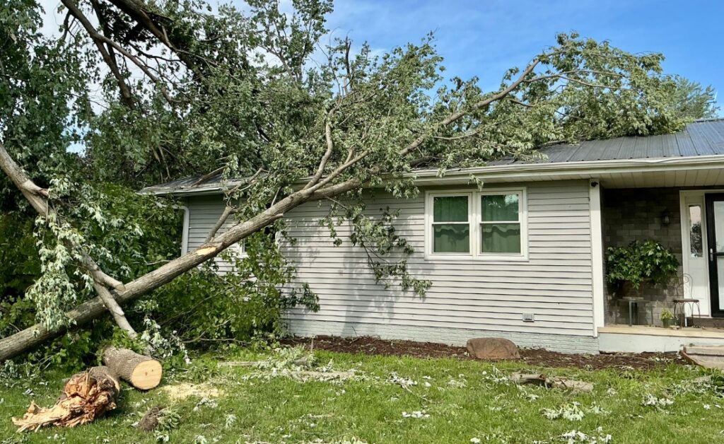 Large storm-damaged tree fallen onto a residential roof in Cedar Rapids, Iowa.