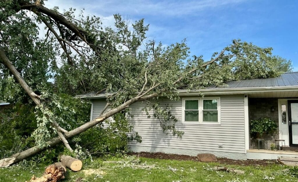 Large storm-damaged tree fallen onto a residential roof in Cedar Rapids, Iowa.