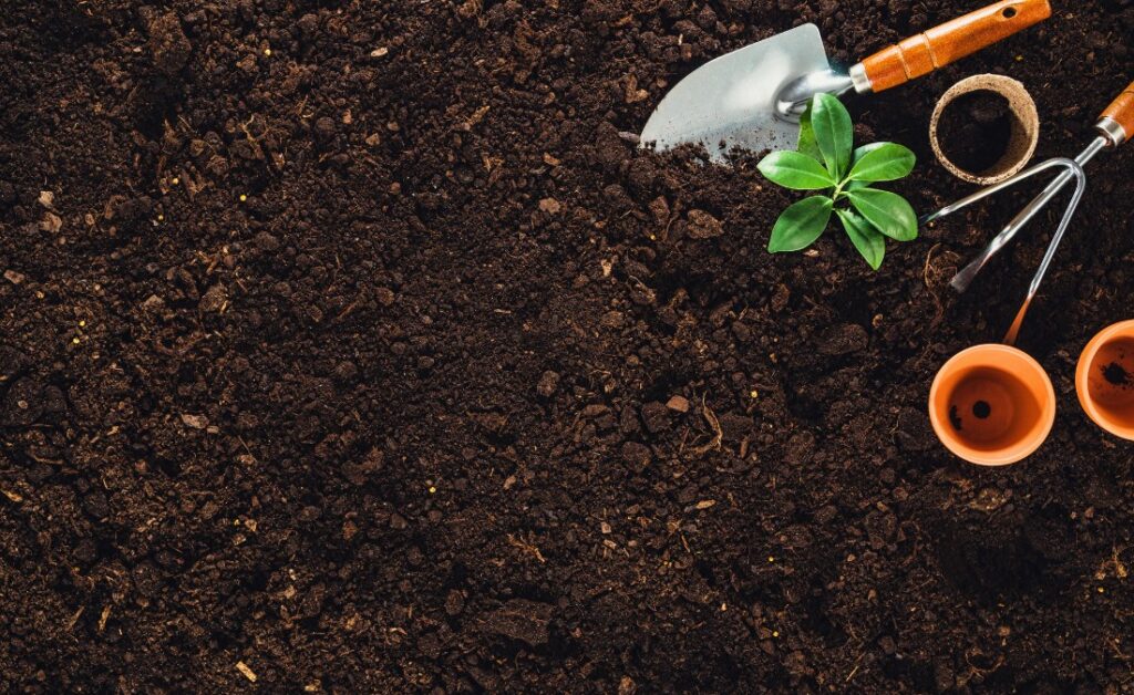 Healthy soil that’s ready for tree planting in Cedar Rapids, IA.