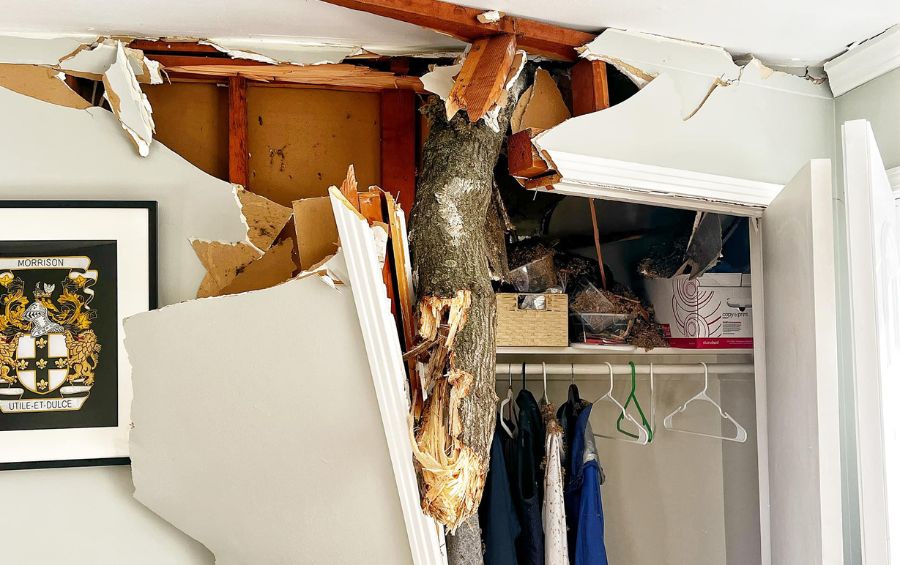 A tree branch that broke through the ceiling of a home in Cedar Rapids during a storm.