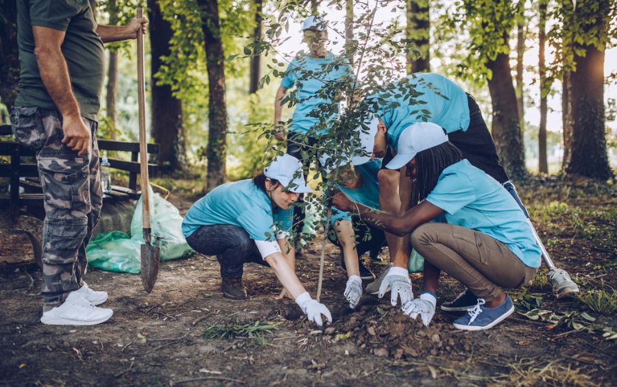 A group of ReLeaf volunteers planting trees in a park near Cedar Rapids, IA.