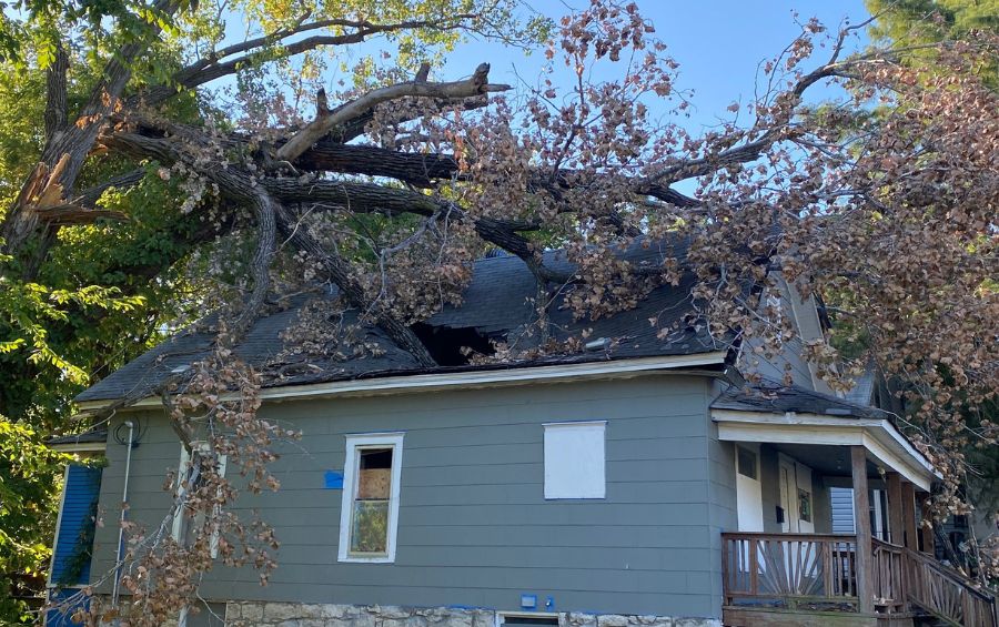 A tree that broke and fell onto the roof of a small home in Cedar Rapids, IA.