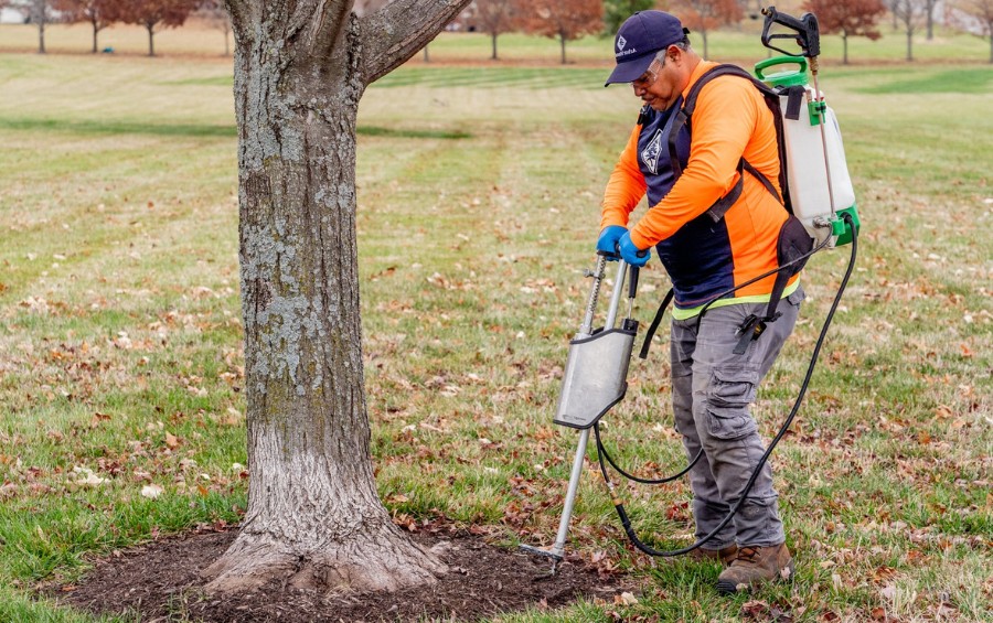 An arborist from Arbor Masters injecting fertilizer into the soil at a property in Iowa City, IA.