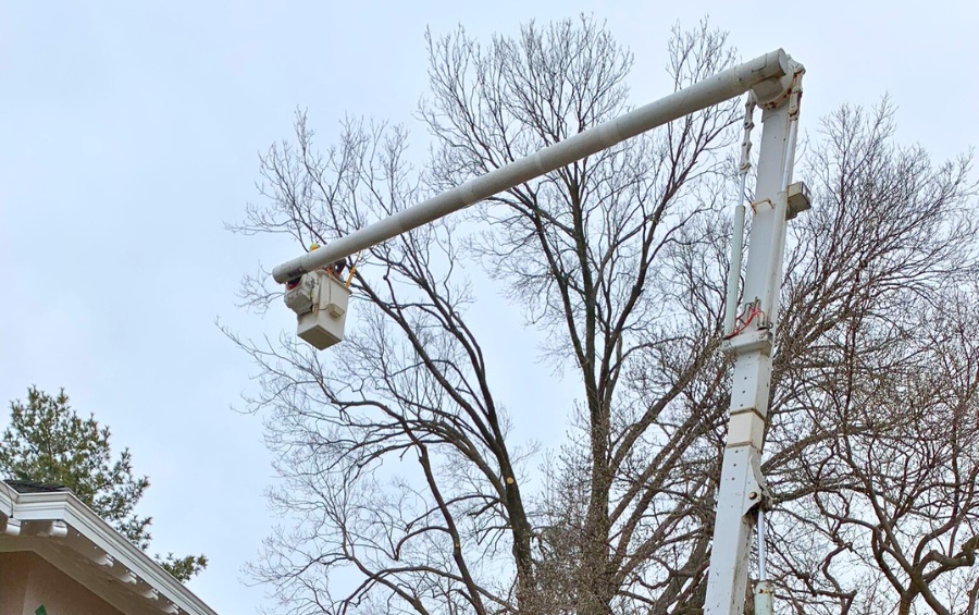Arbor Masters crew completing dormant pruning in Cedar Rapids as part of fall tree care before snow and ice.