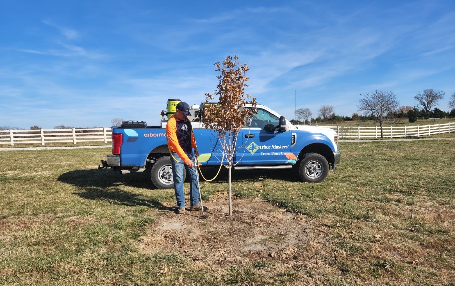 Arbor Masters technician performing deep root fall tree fertilization in Cedar Rapids to prepare young trees for winter.