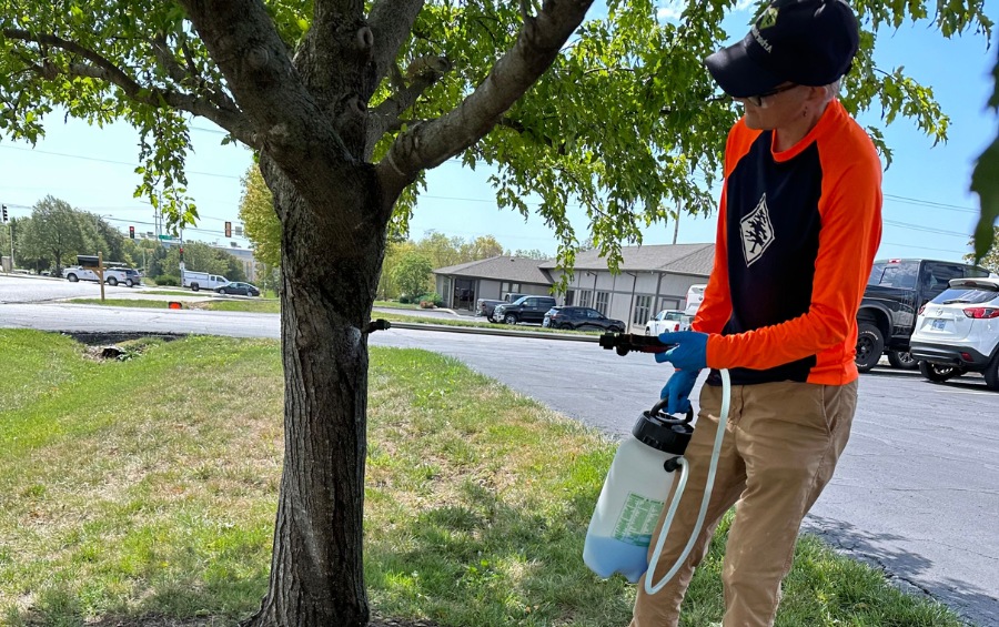 Arbor Masters plant health care technician applying a treatment at the base of a tree in a Cedar Rapids yard.