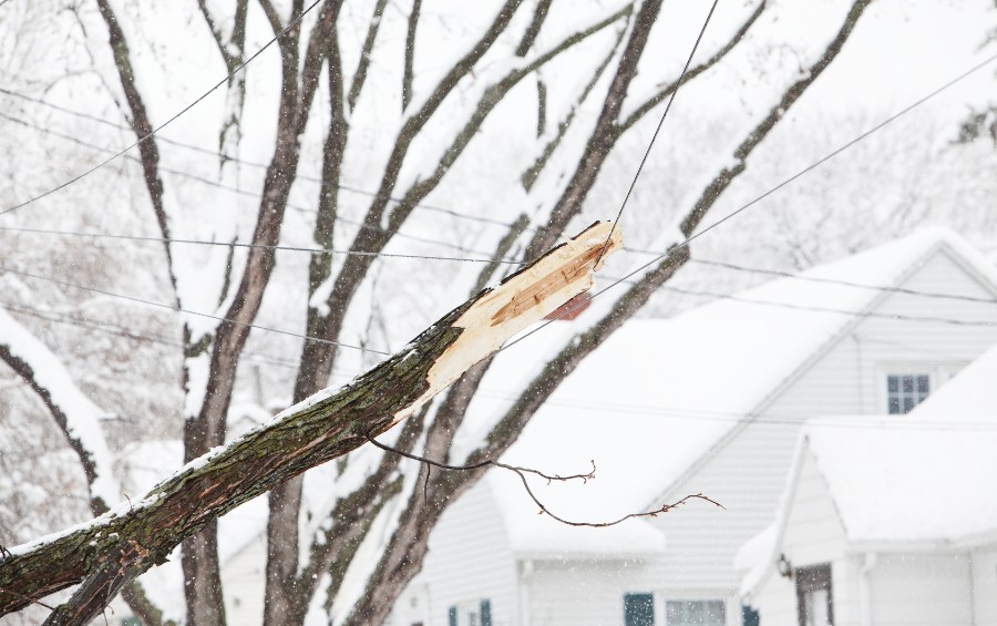 Broken tree branch with exposed wood hanging near power lines during a snowstorm, with a snow-covered residential roof in the background.