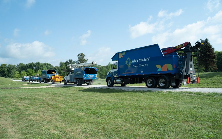 A fleet of Arbor Masters heavy equipment, including utility trucks, a chipper and chip truck, a grapple truck, and a bucket truck, lined up and ready for safe and efficient tree removal in Des Moines.