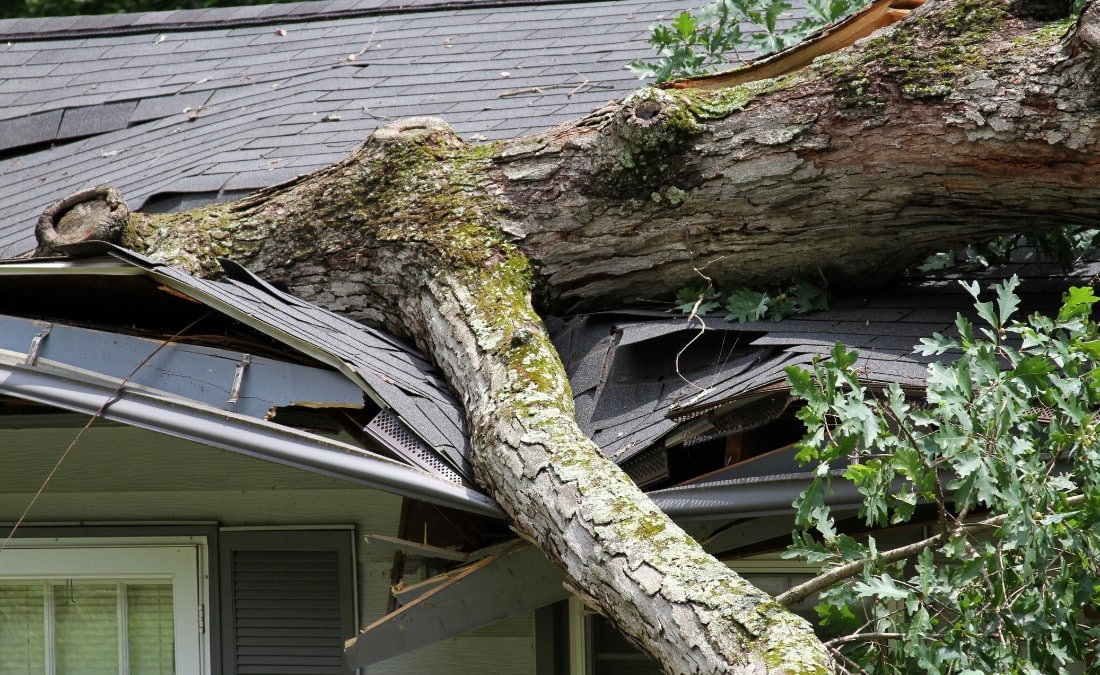 Large tree trunk resting on a home's roof after a summer storm, causing significant structural damage to the roofline and exterior.