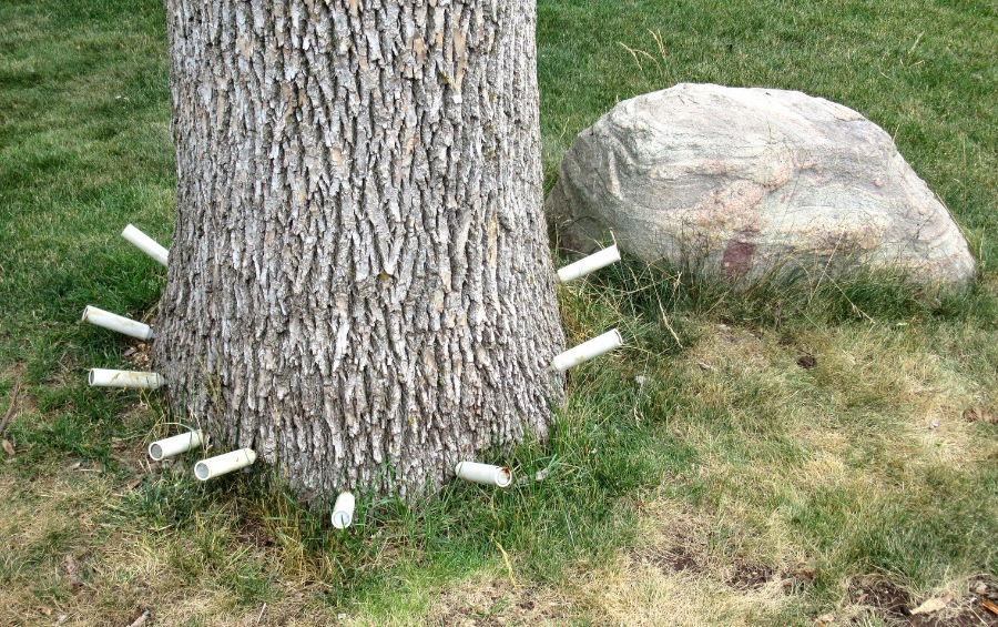 A plant health care technician in an orange high-visibility shirt kneels at the base of a large tree to perform a trunk injection treatment.