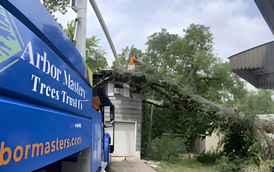 Arbor Masters truck parked on-site with a large fallen tree leaning against a building in the background after a storm