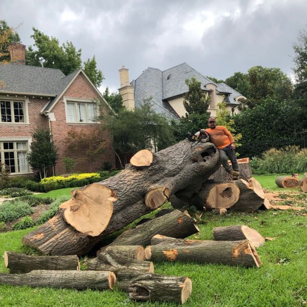 AM-Dallas-emergency-high-risk-removal