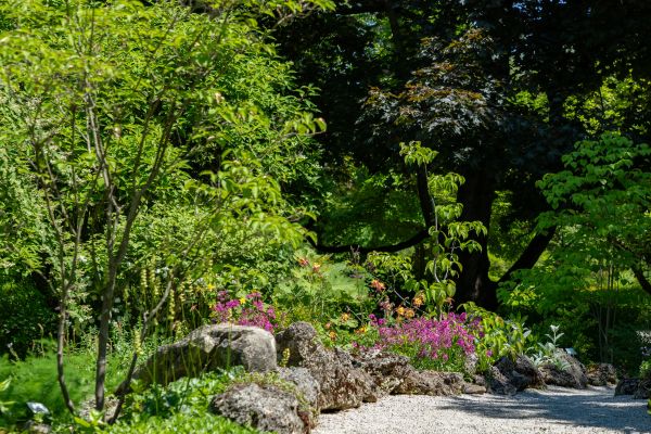 AM-Dallas-landing-page-section-botanical-garden