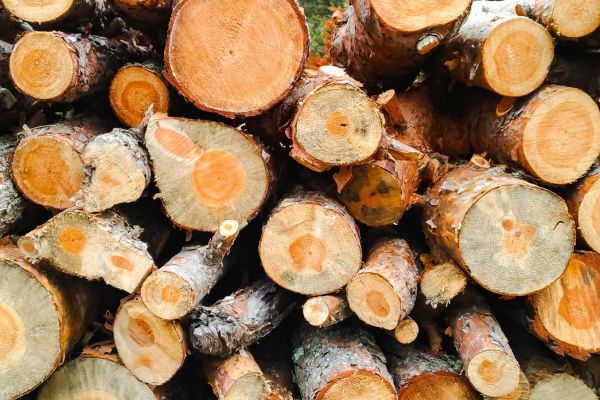 AM-Dallas-landing-page-section-logs-many