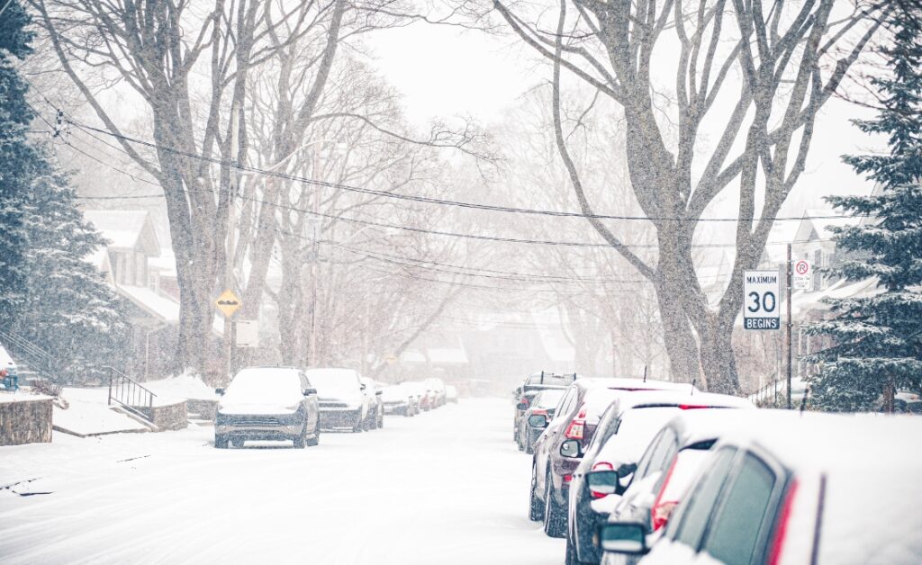 Mature deciduous trees with bare branches arching over a snow-covered residential street during an active snowstorm, with power lines visible running between them and parked cars lining both sides of the road.