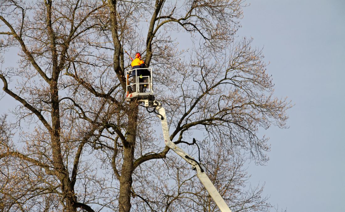 Arbor Masters using a lift truck to prune a large tree after a storm in Davenport, IA.