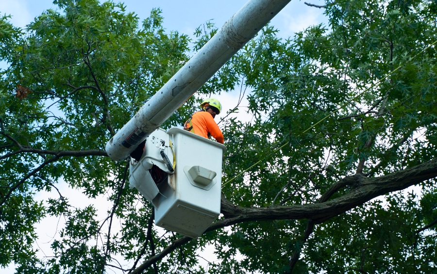 Arborist wearing orange high-visibility shirt and yellow hard hat working from a bucket truck to prune tree branches growing near power lines against a blue sky with scattered clouds.