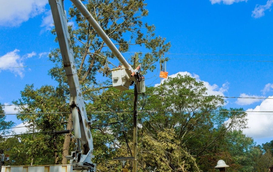 Utility bucket truck with extended boom positioned near power lines and mature trees on a sunny day, with a worker in the elevated bucket assessing tree clearance from electrical infrastructure.