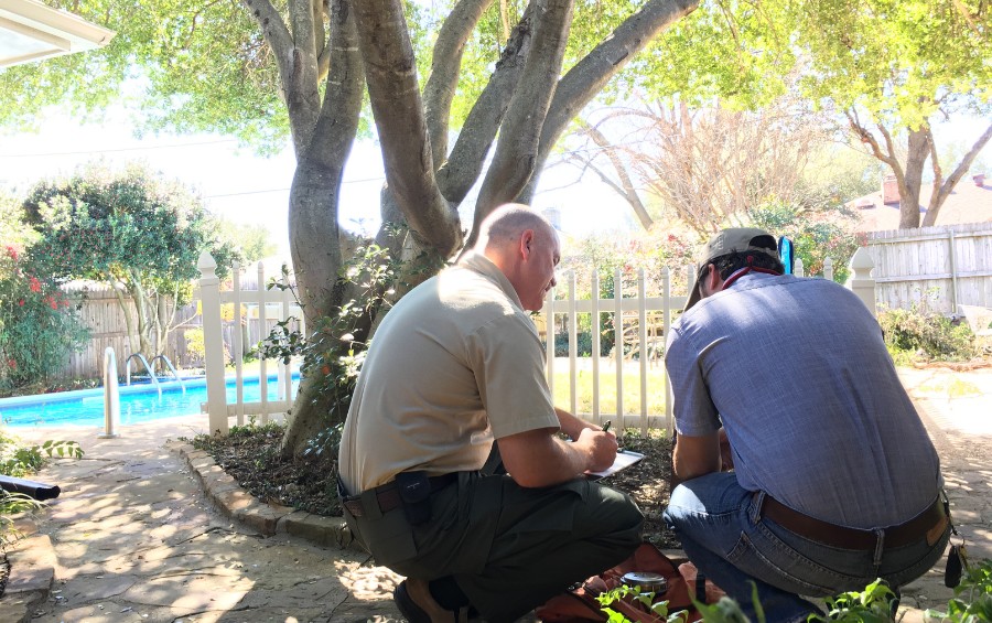Two Advantage Tree Service professionals in a Davenport backyard, crouched beside a tree and taking notes on a clipboard during a tree health assessment.