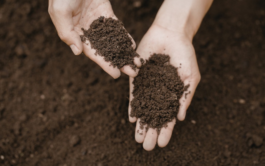 Hands holding a sample of dark, crumbly topsoil above a larger patch of bare soil.