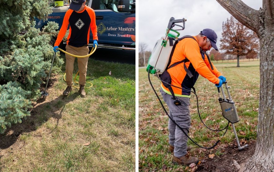 Two Arbor Masters plant health care technicians performing deep root fertilization on trees using high-pressure injection equipment.