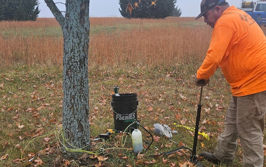 Arbor Masters plant health care technician in orange safety shirt performing trunk injection treatment on an oak tree using specialized fungicide injection equipment including pressurized tank and tubing in a fall landscape with scattered leaves.