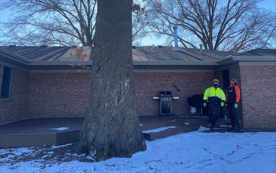 Two tree service crew members in safety gear — one in a high-visibility yellow jacket, the other in orange — assessing a large mature tree next to a brick building on a snowy winter day.