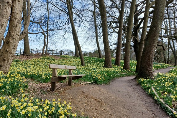 Early spring time with flowers and trees