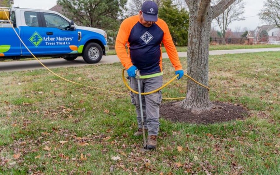 An Arbor Masters plant health care technician using a soil injection probe to treat a tree at its base.