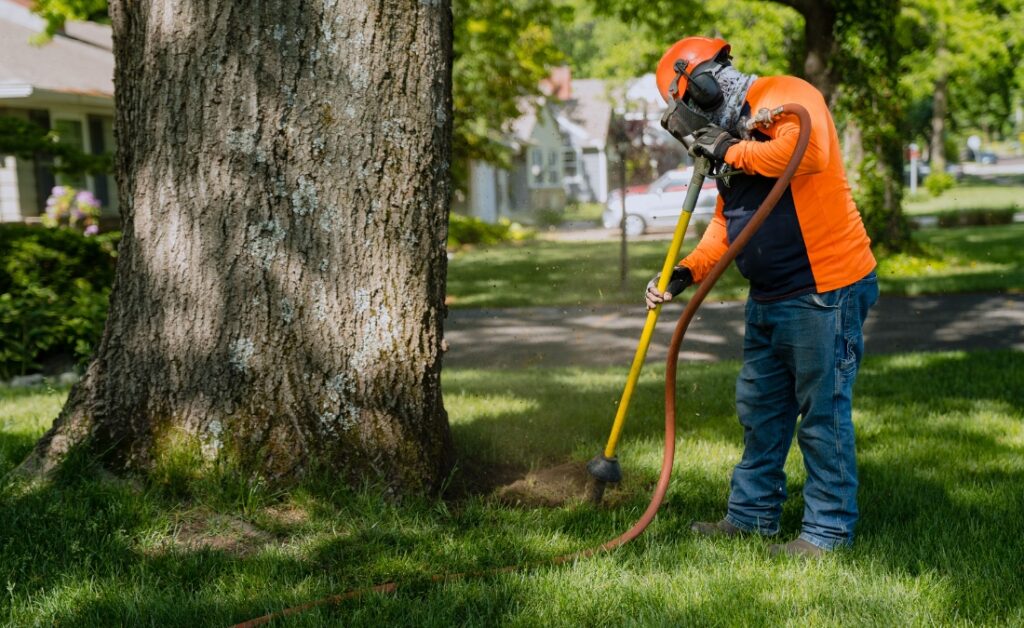 An Arbor Masters arborist in orange safety gear using air spading equipment to expose buried root flare at base of mature oak tree in residential Fort Worth neighborhood.