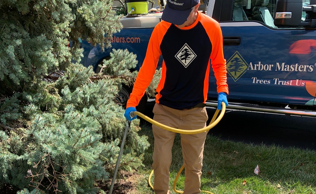 AM-FW-blog-featured-2025-Sep-guy-truck-soilinjector A professional arborist performing deep root fertilization injection with specialized equipment in a Fort Worth park setting on an evergreen tree.