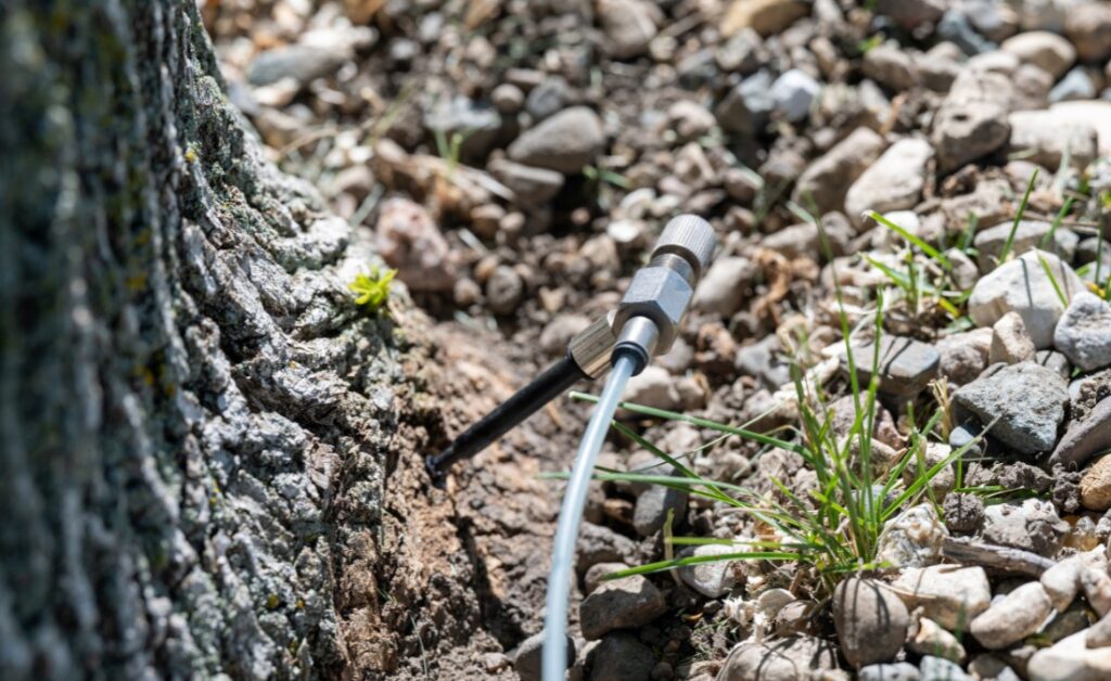 A close-up of an injector to a tree to treat EAB