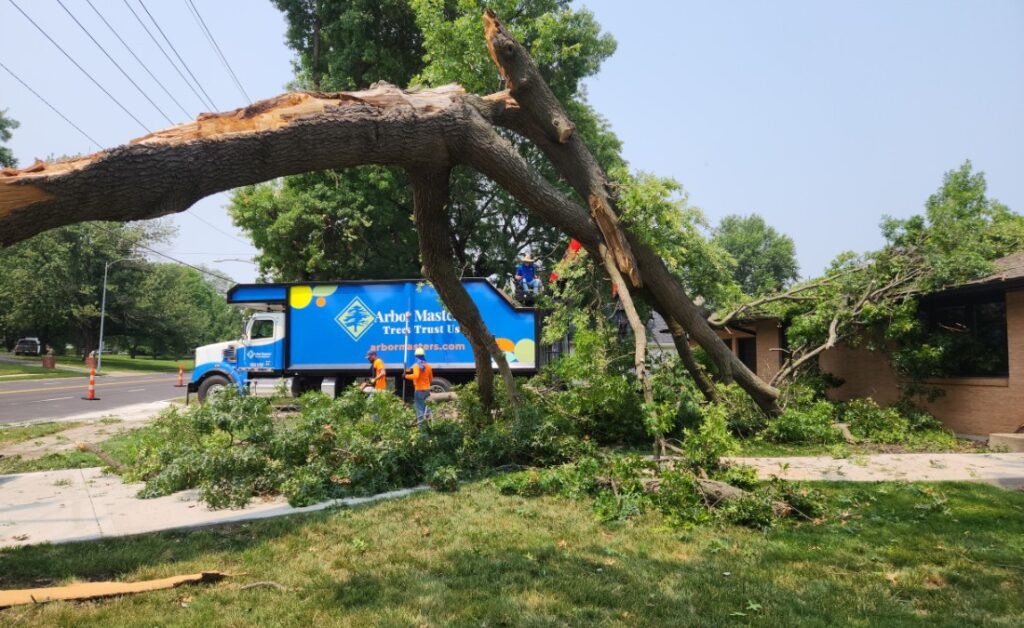 The Arbor Masters team responding to a tree that suffered wind damage in Fort Worth, TX.