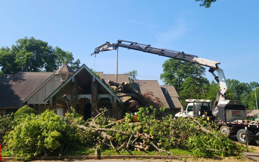 The Arbor Masters team using a crane to remove a tree that feel after a storm in Colleyville, TX.