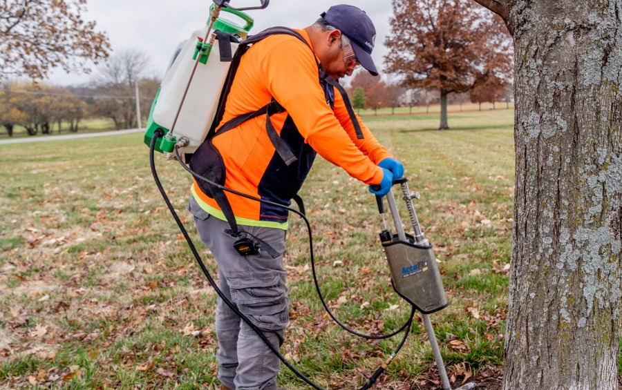 An arborist from Arbor Masters fertilizing a tree in the fall in Colleyville, TX.