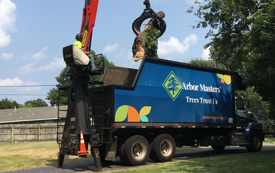 Crane-assisted removal ensures safe, efficient tree removal while protecting nearby structures and meeting Fort Worth permit requirements.