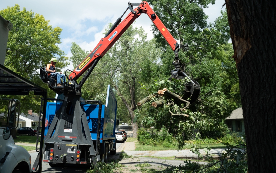 An ISA Certified Arborist performing professional tree removal with crane assistance, demonstrating the expertise required for Fort Worth permit compliance.