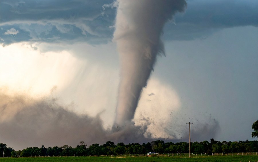 A large tornado touches down in a rural landscape with mature trees in the foreground.