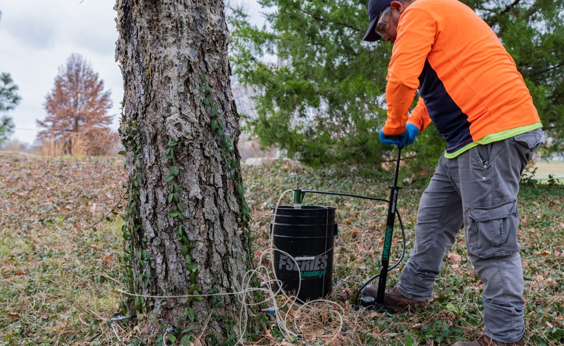 An arborist from Arbor Masters injecting fertilizer into the ground outside Kansas City, MO.