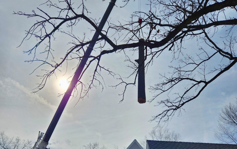 Arbor Masters crane truck removing large dead tree near residential home during winter tree removal service in Kansas City Metro area.