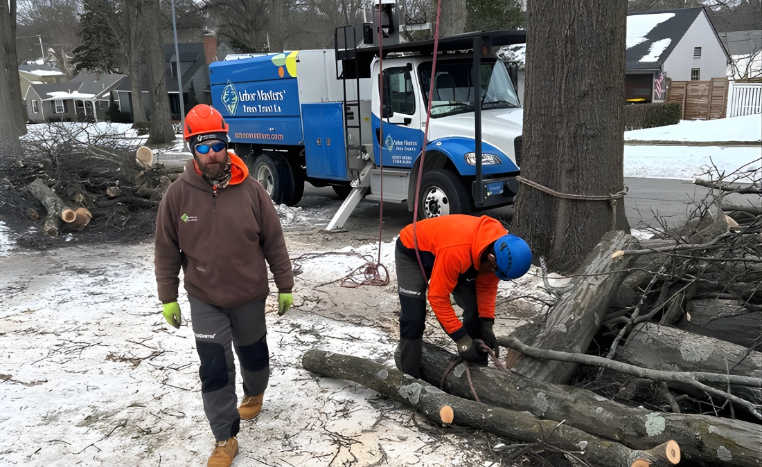 Arbor Masters crew members in safety helmets and high-visibility gear process cut branches in a snowy Lee's Summit neighborhood, with the company's blue service truck parked nearby.