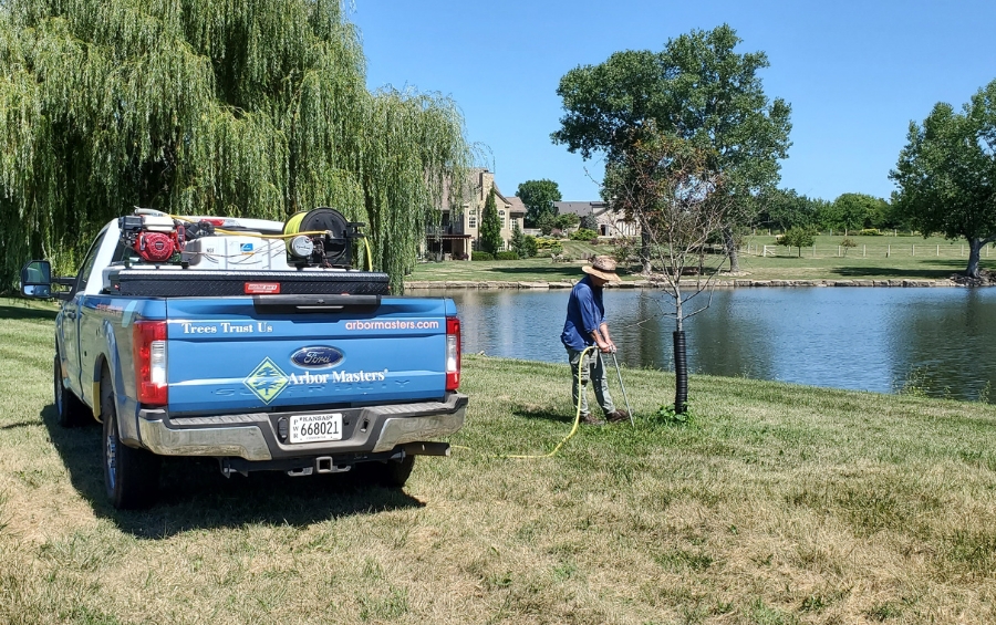 Arbor Masters arborist performing deep-root fertilization treatment at lakefront property in Raytown area using professional injection equipment.