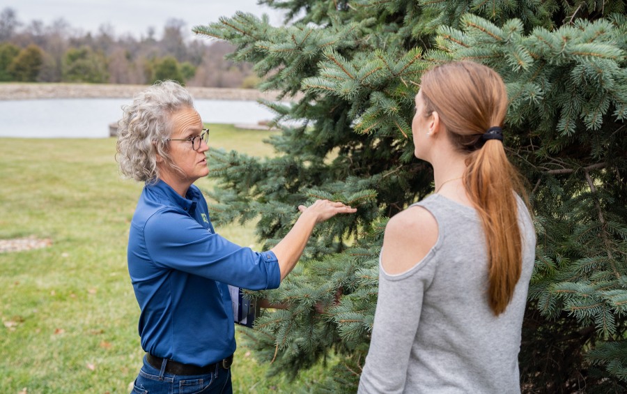 An Arbor Masters arborist in a blue company shirt explains tree health concerns to a homeowner while examining a mature evergreen on a lakefront property in Eastern Jackson County. 