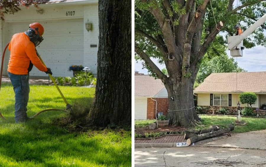 Split image showing two Arbor Masters services: an arborist using an air spade to excavate compacted soil around the base of a mature tree, wearing orange high-visibility gear and a helmet with face shield (left), and a bucket truck performing structural pruning in the upper canopy of an established residential tree (right).